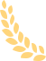 20240330174719-17