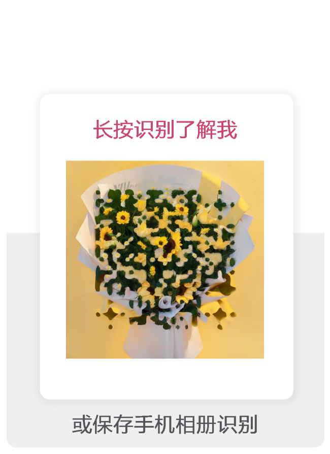 bd268bf5a538590a41f6f4178f6a8ddc bd268bf5a538590a41f6f4178f6a8ddc