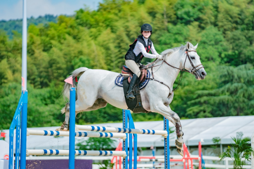 20240521172620425595176 20240521172620425595176