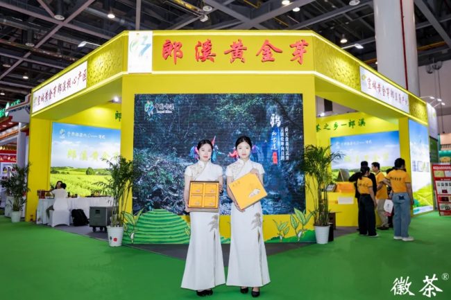 第六届中国国际茶叶博览会 郎溪黄金芽大受欢迎