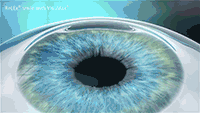 66752cf0767ff