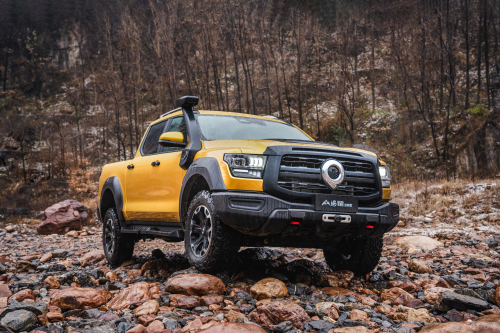 66b99900a6987 66b99900a6987