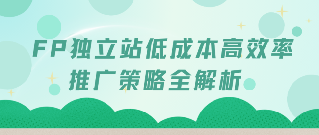 FP 独立站低成本高效率推广策略全解析
