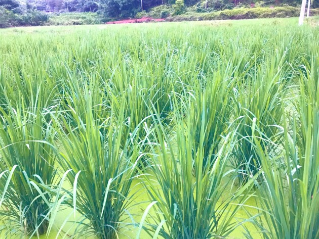 paste_5745_13410ea97fc0116d35c146b6754894a7