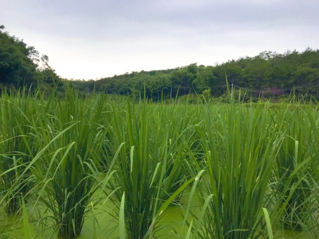 paste_5745_5aef1f30a4225b6bc7d0e3854e1725b5