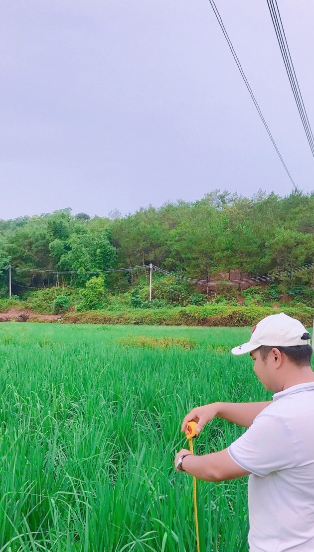 paste_5745_89adb9ca501170559452c42ed2f4ff38